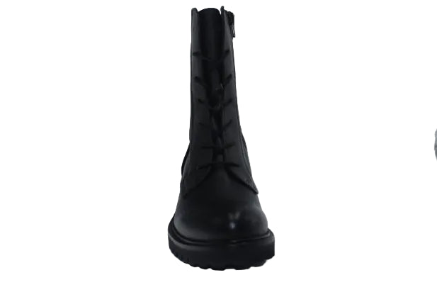Anfibio Lacci  Zip FELMINI - C576